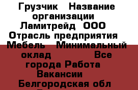 Грузчик › Название организации ­ Ламитрейд, ООО › Отрасль предприятия ­ Мебель › Минимальный оклад ­ 30 000 - Все города Работа » Вакансии   . Белгородская обл.,Белгород г.